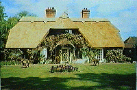 Thatched Roof