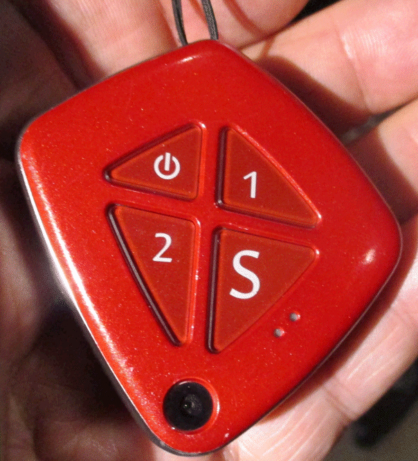 Lovelock cats in Sunninghill