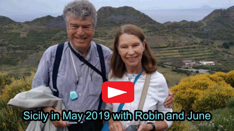 video of 2019 Holiday