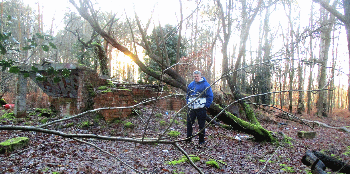 woods near California Country Park on Nine-Mile-Ride